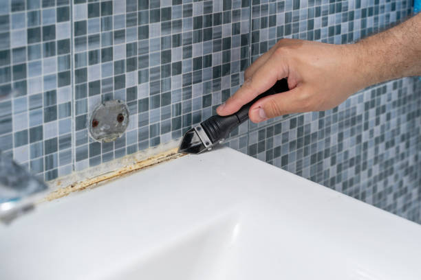 Best Mold Remediation for Schools in West Rson, CA